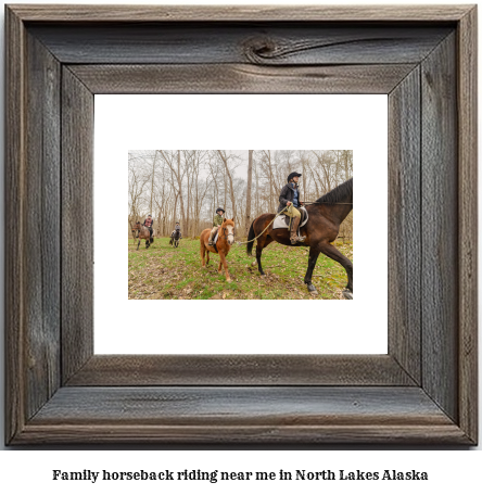 family horseback riding near me in North Lakes, Alaska